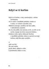 Zpěvy toužení a osamělosti - Amir Hamzah
