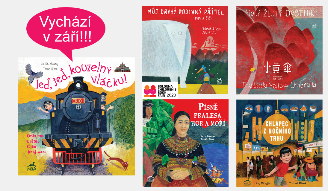 Knihy pro děti - picturebooks